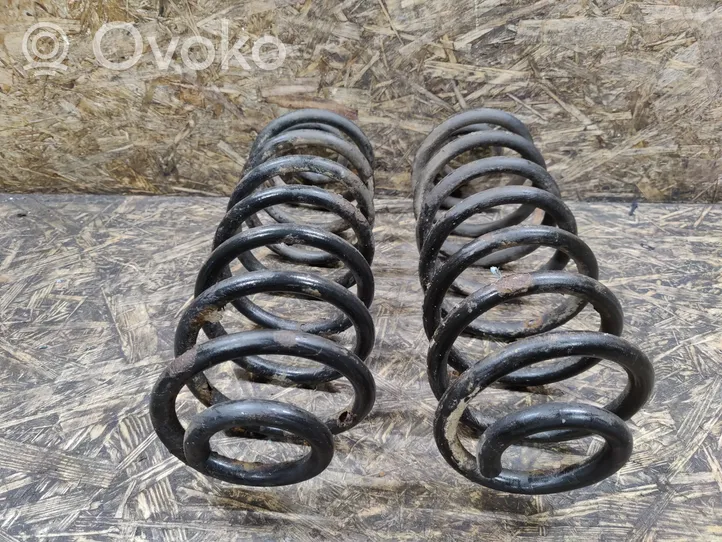 Chevrolet TrailBlazer Rear coil spring 