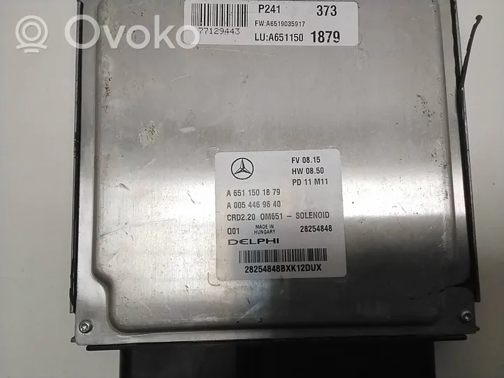 Mercedes-Benz Vito Viano W639 Juego de cerradura y set ECU del motor A6511501879