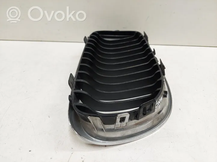 BMW 3 E90 E91 Front grill 51137201967