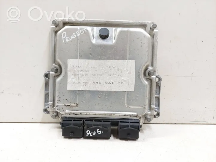 Peugeot 307 Sterownik / Moduł ECU 9644606180