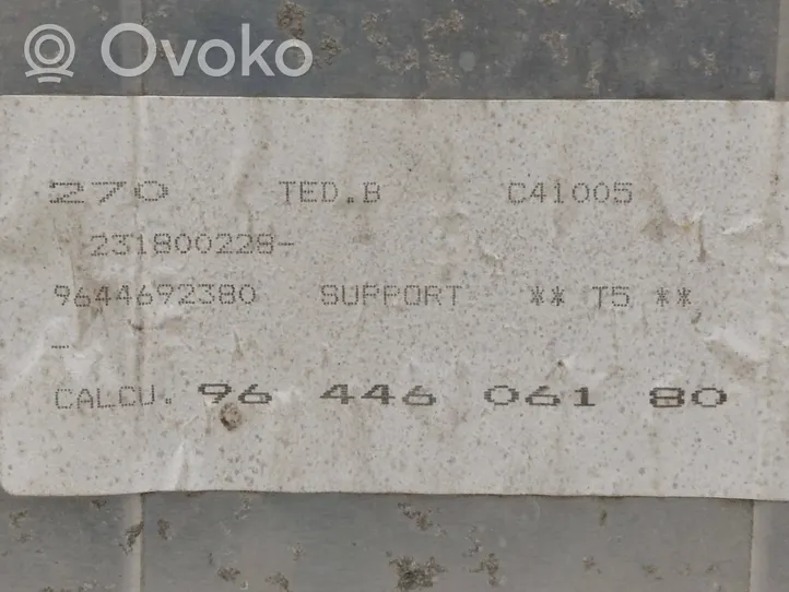 Peugeot 307 Sterownik / Moduł ECU 9644606180