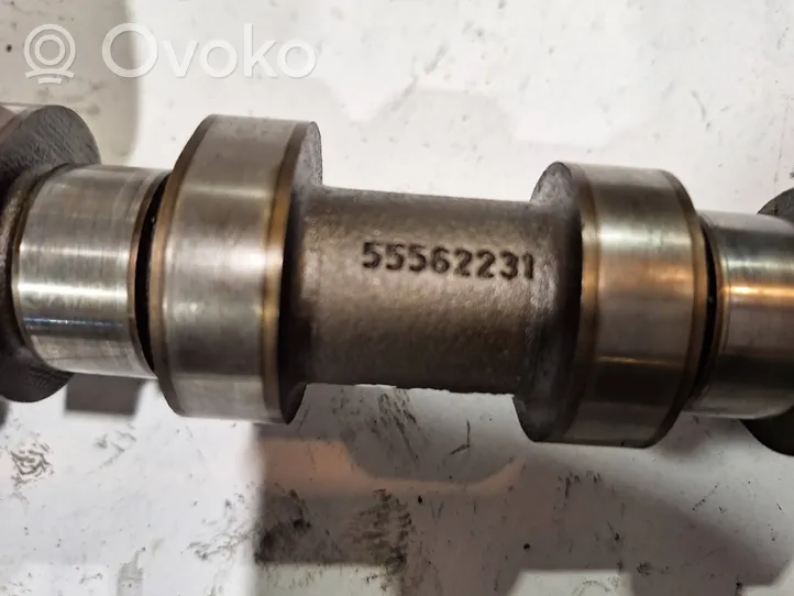 Opel Corsa D Camshaft 55562231