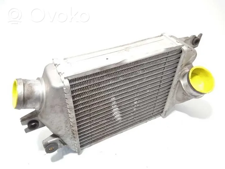 Subaru Outback (BS) Radiatore intercooler 21821AA090