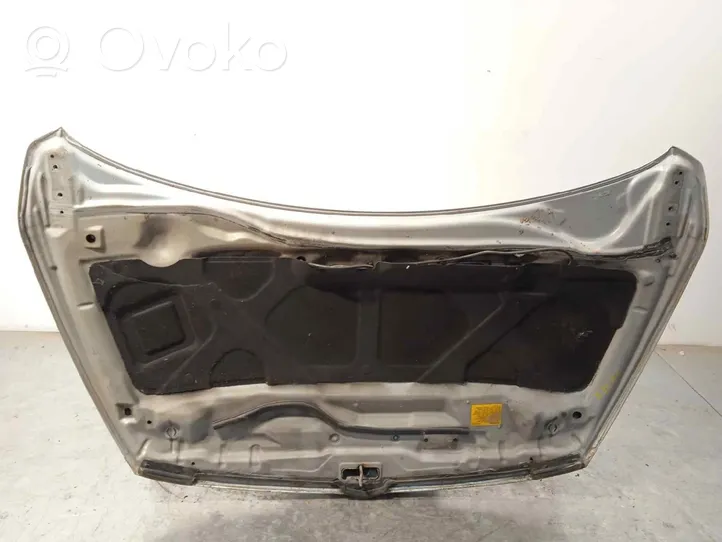 Mitsubishi Grandis Motorhaube 5900A129