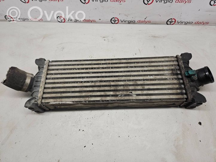 Ford Transit Chłodnica powietrza doładowującego / Intercooler CC119L440AC