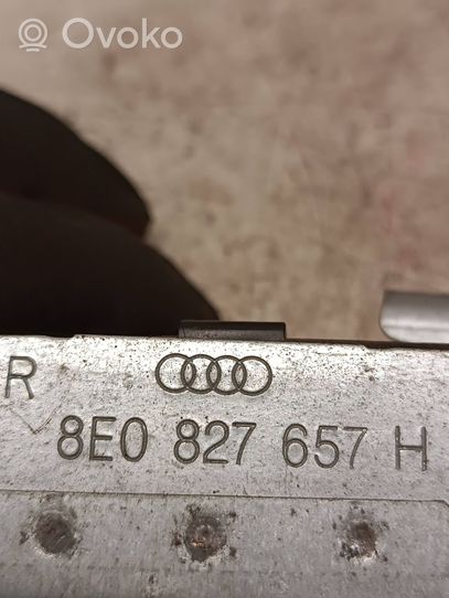 Audi Q7 4L Number plate light 8E0827657H