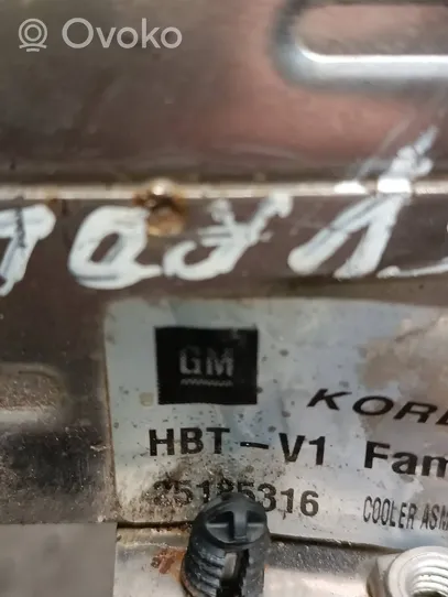 Chevrolet Captiva EGR-venttiili/lauhdutin 25185316