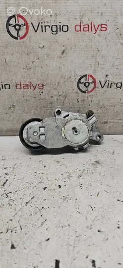 Peugeot 206 Tendicinghia generatore/alternatore Tf049