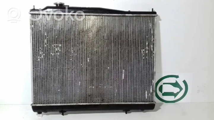 Nissan Pathfinder R50 Coolant radiator 