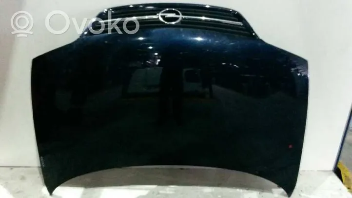 Opel Sintra Dangtis variklio (kapotas) 10363250