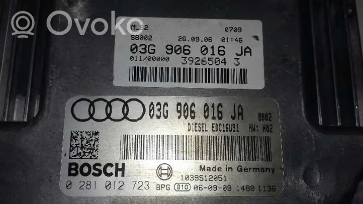 Audi A4 Allroad Komputer / Sterownik ECU silnika 03G906016JA