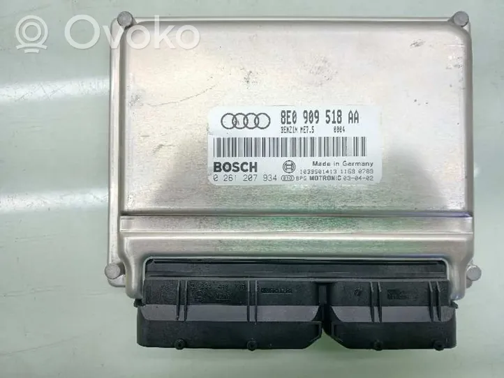 Audi A4 Allroad Unité de commande, module ECU de moteur 8E0909518AA