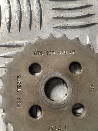 Audi A4 S4 B7 8E 8H Timing chain sprocket 079109570AP