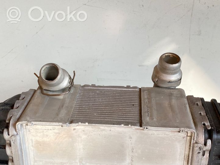 Land Rover Evoque II Chłodnica powietrza doładowującego / Intercooler HJ329L440AC