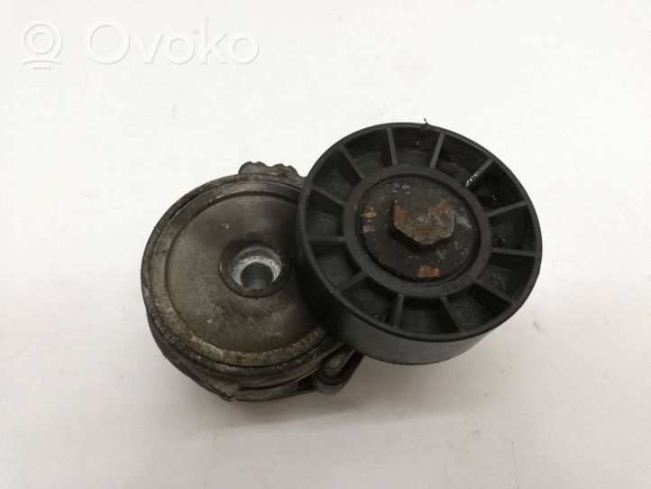 Volvo V50 Napinacz paska wielorowkowego / Alternatora 