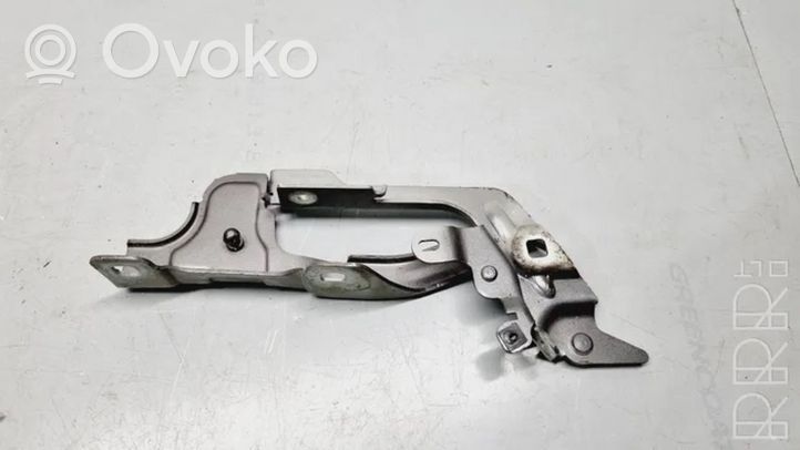 Citroen DS7 Crossback Cerniere del vano motore/cofano 9829653680