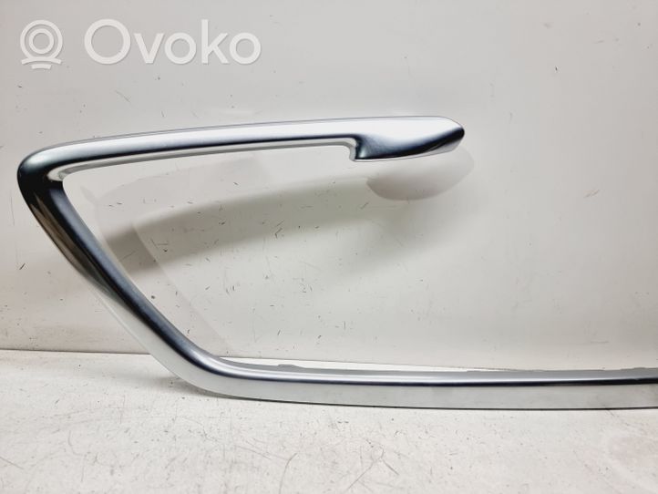 Volvo XC60 Barra di rivestimento della portiera anteriore 30781182