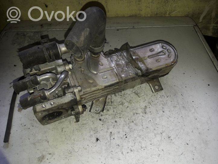 Skoda Octavia Mk2 (1Z) EGR valve cooler 