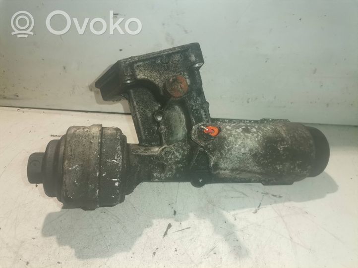 Volkswagen PASSAT B5.5 Coperchio del filtro dell’olio 0381153890