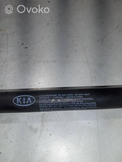 KIA Ceed Ammortizzatore portellone posteriore/bagagliaio 81780A2000