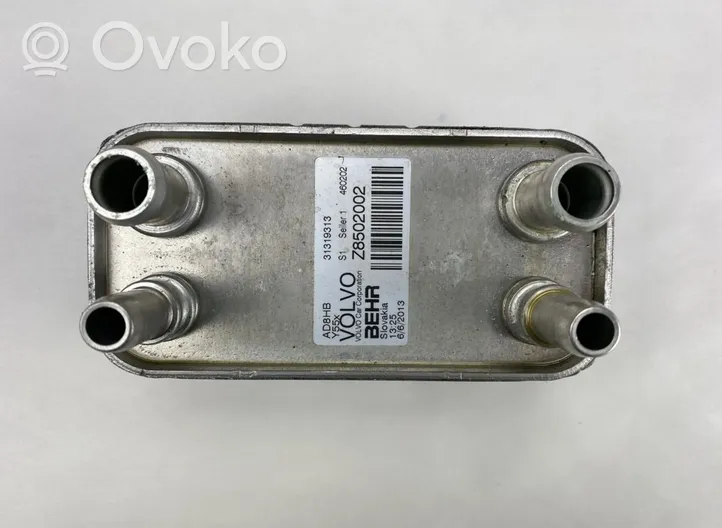 Volvo V40 Radiatore dell’olio del motore 31319313