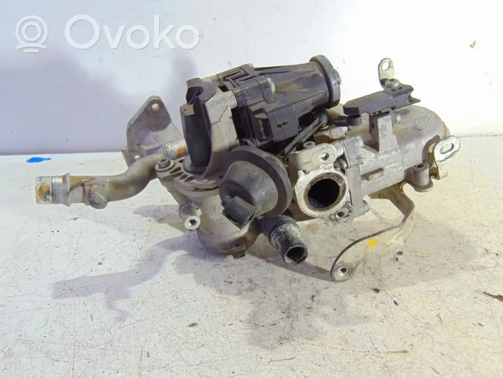 Citroen C3 Chłodnica spalin EGR 9671187780