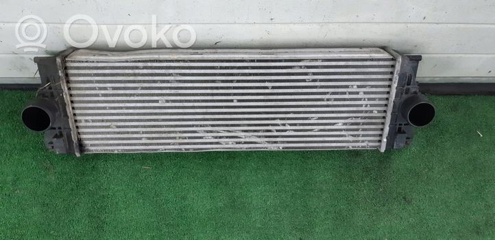 Volkswagen Crafter Chłodnica powietrza doładowującego / Intercooler 2E0154804