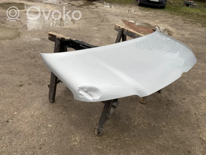 Volkswagen Transporter - Caravelle T5 Engine bonnet/hood 