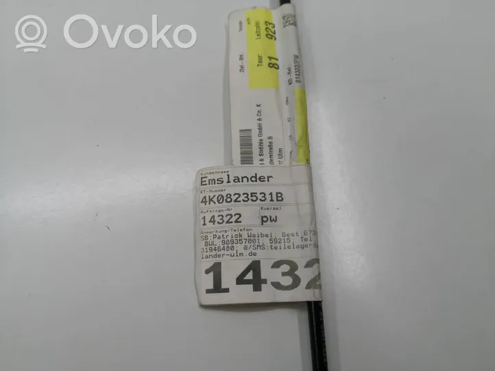 Audi A6 S6 C8 4K Cavo di rilascio vano motore/cofano 4K0823531B