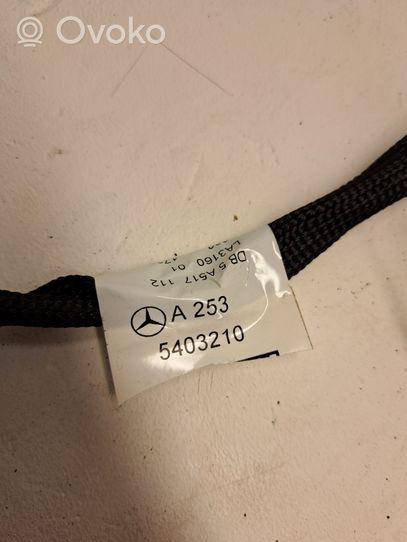 Mercedes-Benz GLC X253 C253 Wiązka przewodów drzwi przednich A2535403210