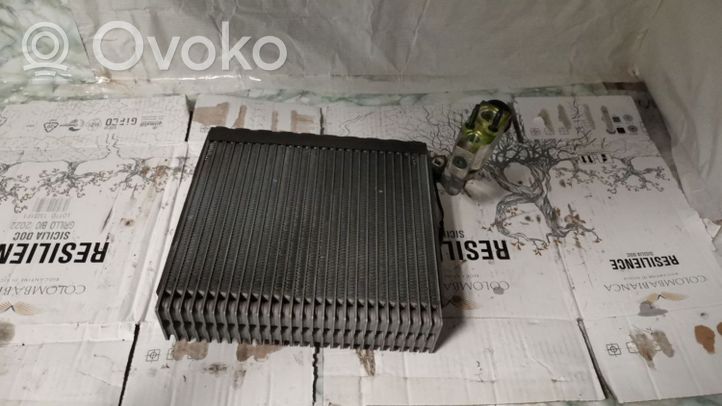 Chevrolet Captiva Air conditioning (A/C) radiator (interior) 