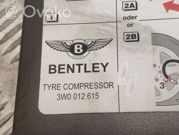 Bentley Flying Spur Tire air pump compressor 3W0012615