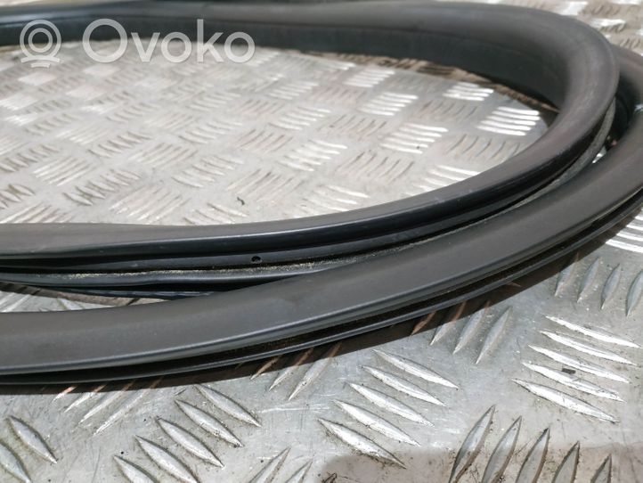 Volvo XC60 Front door rubber seal S1XMA