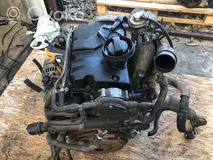 Volkswagen Polo IV 9N3 Motor BAY