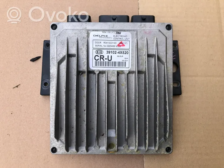 KIA Carnival Sterownik / Moduł ECU 391024X520