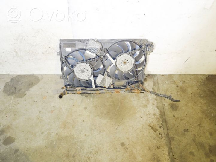 Volkswagen Phaeton Electric radiator cooling fan 3D0121191E