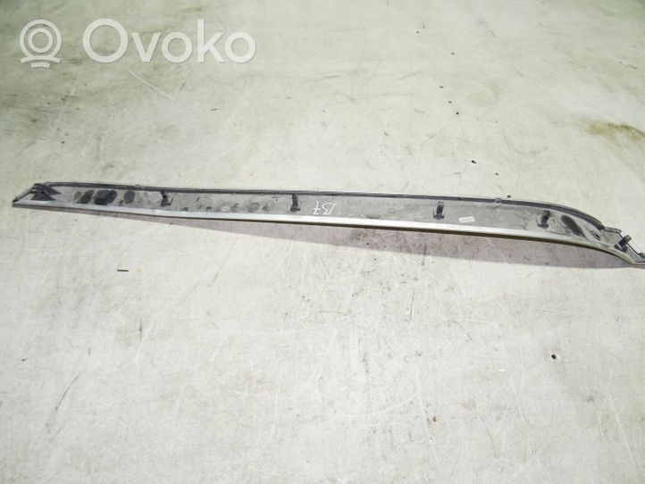 Audi A4 S4 B7 8E 8H Front door trim bar 8E0867409