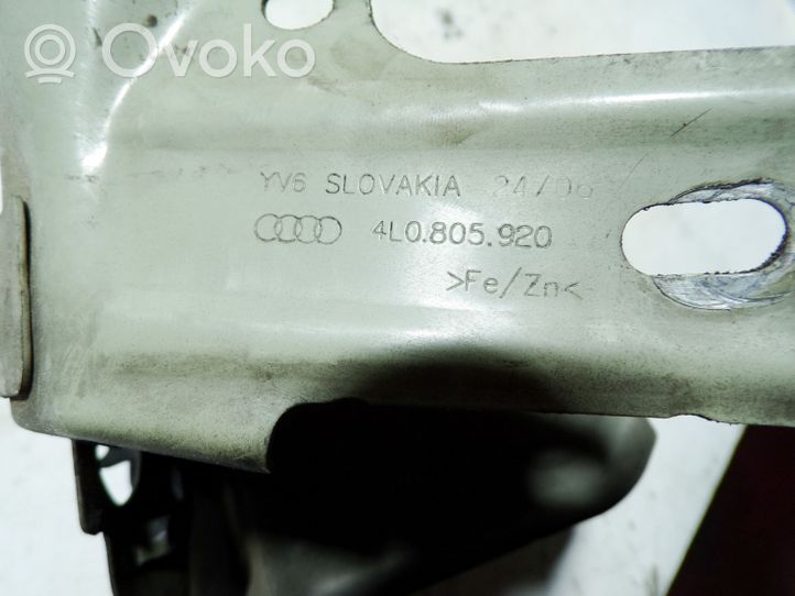Audi Q7 4L Supporto di montaggio del parafango 4L0805175