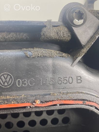 Volkswagen Tiguan Intake resonator 03C145650B