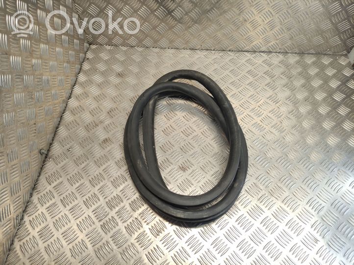 Citroen C4 II Picasso Rear door rubber seal (on body) 9676259080