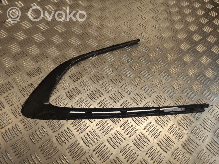 BMW 5 GT F07 Rear door glass trim molding 7196420