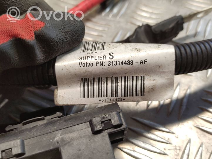 Volvo V40 Faisceau de câblage pour moteur 31314438