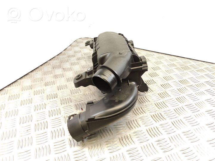 Citroen C4 III e-C4 Scatola del filtro dell’aria 9812735680