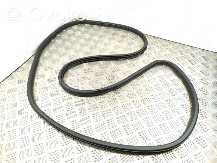 Nissan Juke I F15 Front door rubber seal 1106100416