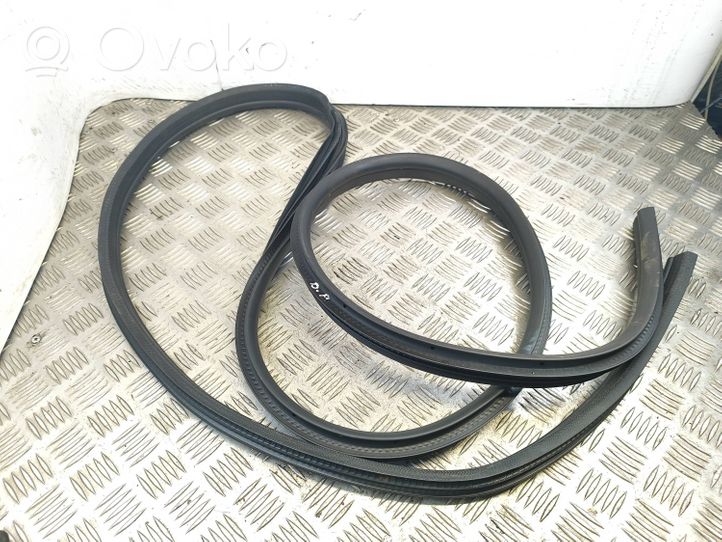 Ford S-MAX Front door rubber seal 