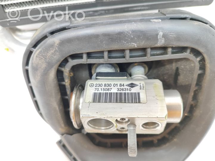 Mercedes-Benz C W204 Radiatore aria condizionata (A/C) (abitacolo) 2308300184