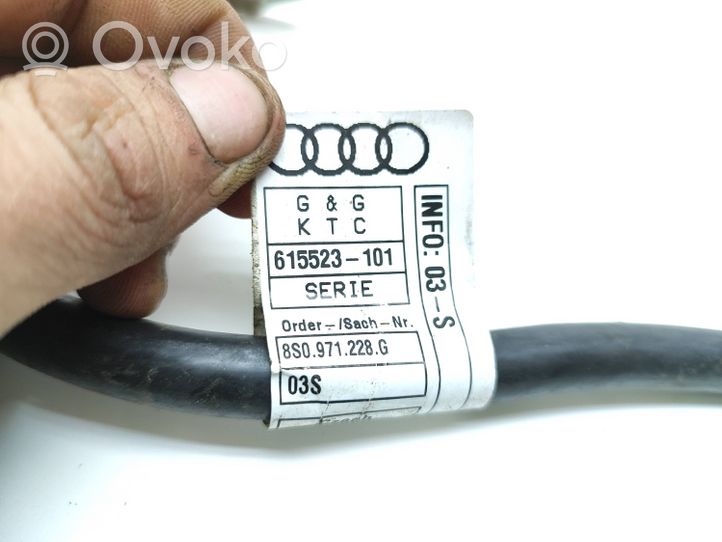 Audi TT TTS RS Mk3 8S Cable negativo de tierra (batería) 8S0971228G
