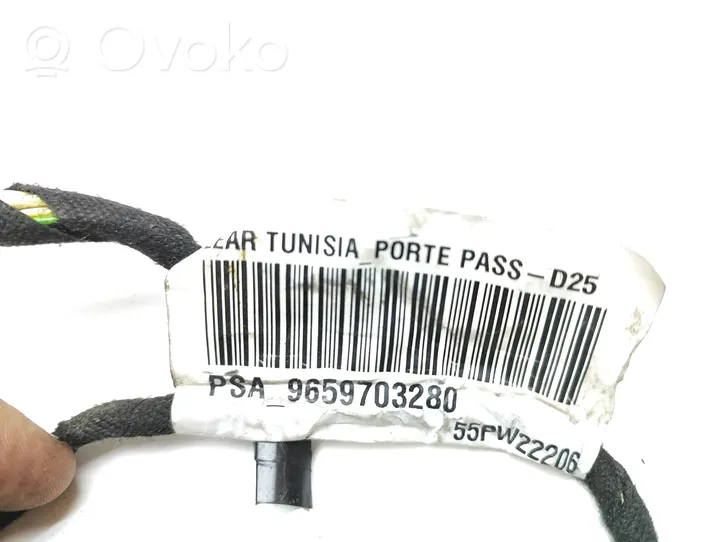 Peugeot 407 Cablaggio porta anteriore 9659703280