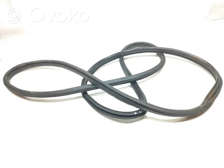 Renault Kadjar Front door rubber seal 