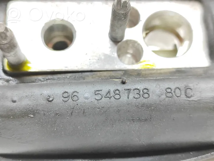 Citroen DS5 Altra parte del vano motore 9654873880